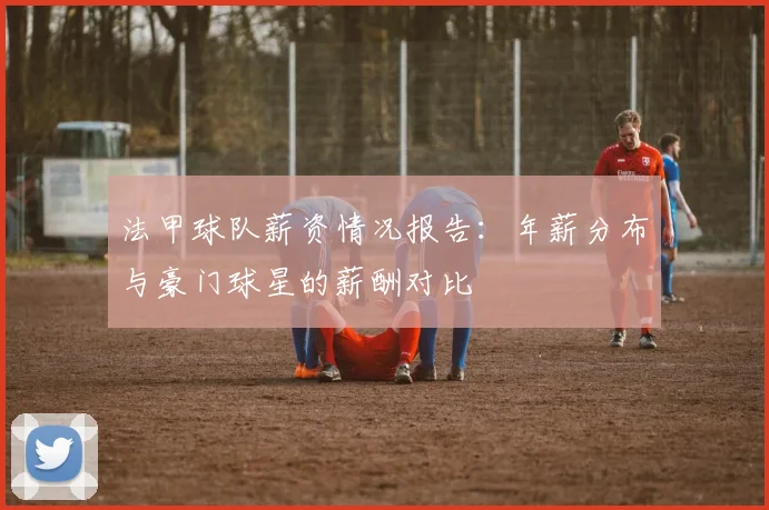 法甲球队薪资情况报告：年薪分布与豪门球星的薪酬对比