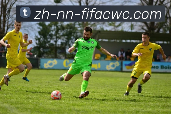 世界杯在线观看平台生态图